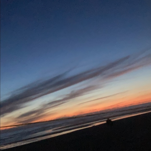 Meet your Posher, Bella - Picture 7 of 7